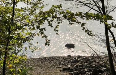 Chalet Sérénité - Foto 12