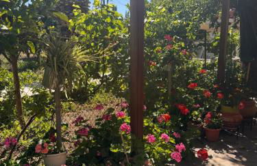 Fenareti Apartments - Photo 29