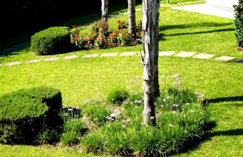 Villa Lucy Eco Friendly - Foto 9