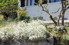 Chalet avec terrasse et vue sur le Mt-Blanc - Foto 4