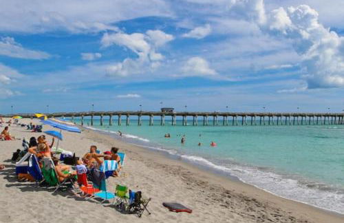 Sea Turtle Sunshine - Foto 23