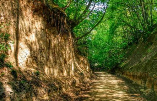 Agroturystyka Nad Bystra - Drewniany dom z pięknym ogrodem - Photo 12