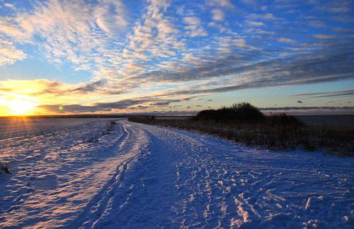 Ferienhaus Pension Sonnenblume - Foto 24