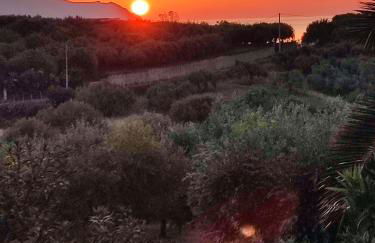 Casa del Poggio Barone - Limone - Foto 35