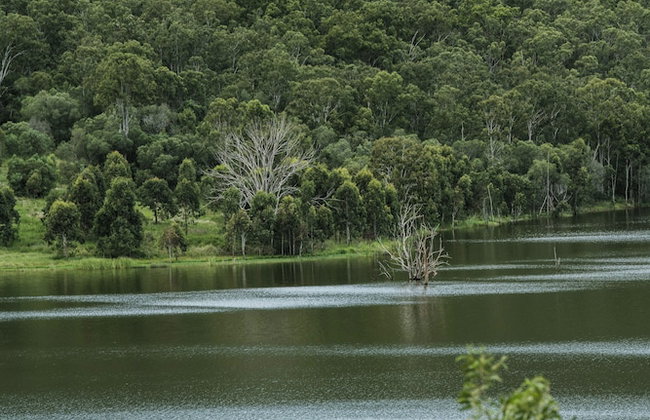 Wander in the Scenic Rim - Foto 73