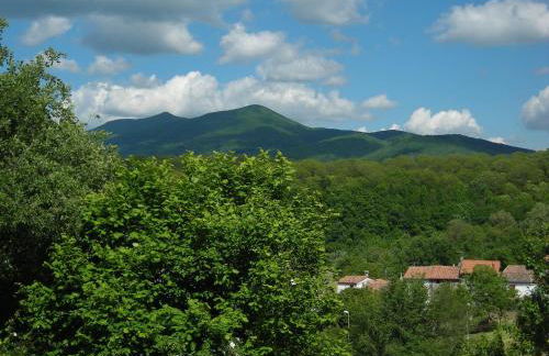 HOME L'UPUPA AMIATA - Foto 2