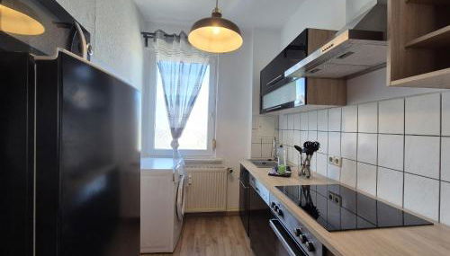 Mikra Homes24 in Meerane - Foto 5, stove, dishwasher, toaster