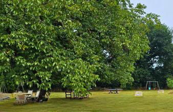 Le Cosy - Domaine du Vertendre - Foto 21