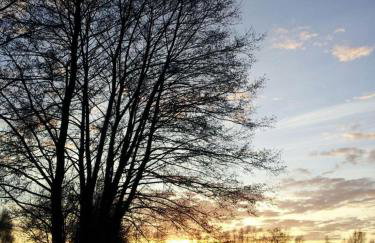 Ferienhaus Karola - Foto 58