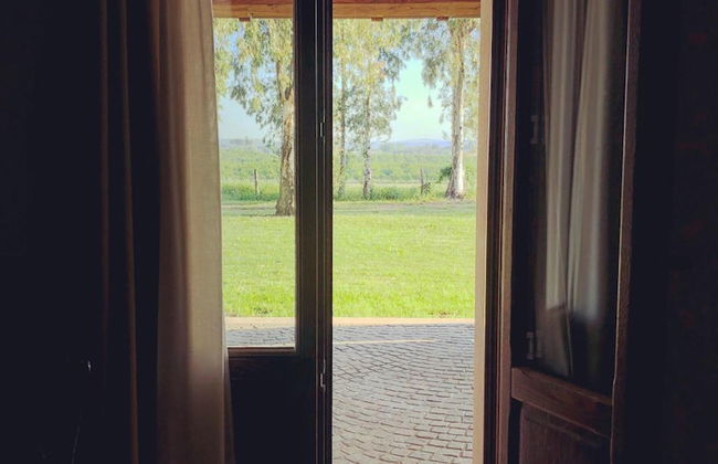 Fattoria Lucciano - Foto 62