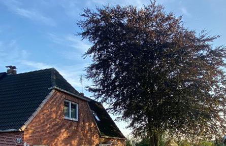 Hus Heideblick -zwischen Natur und Nordsee- - Foto 15