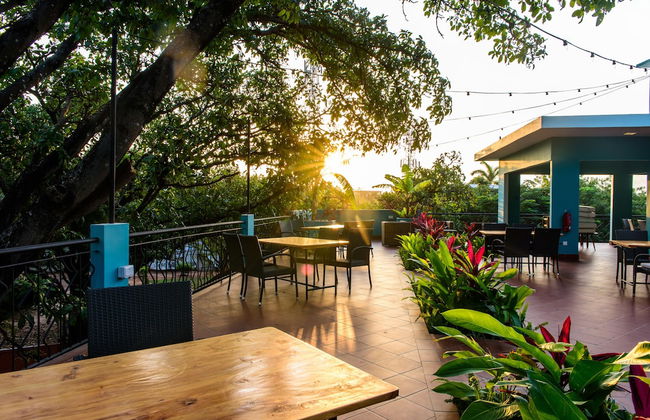 Fig Tree Residences - Foto 21