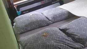 Ferienwohnung an der Begerburg - Foto 2