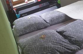 Ferienwohnung an der Begerburg - Foto 2