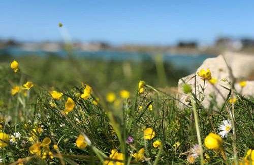 Gîtes TiArMein - Photo 31