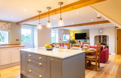 The Patches - Foto 42