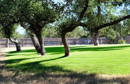 Camp David Retreat Secluded Hill Country Oasis - Foto 73