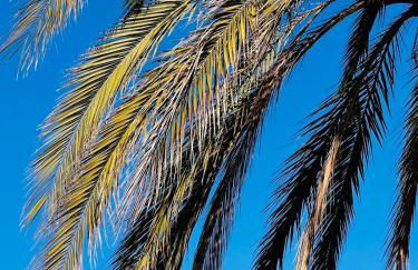 Amber Apartment Nice - Central Highlights and Beach - Foto 58