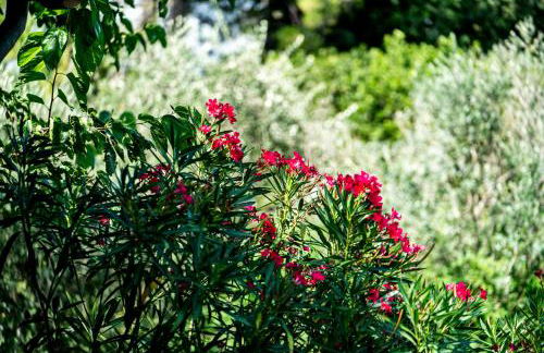 Agriturismo Le Chiusure - Foto 56