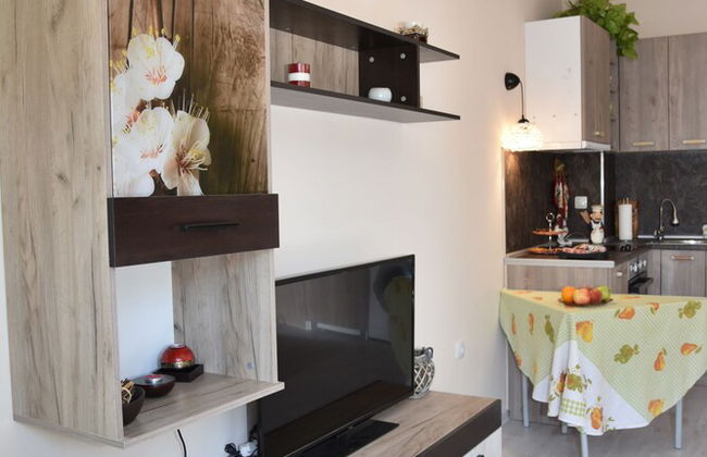 Apartments Plovdiv - Foto 77