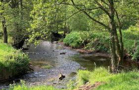 Shepherds hut, Eco, Log burner Hot tub NY moors - Foto 20