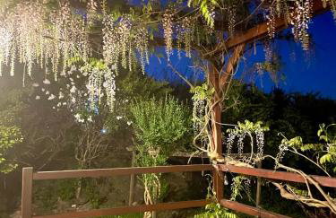 Uroczy dom i bezpłatny parking - Foto 40