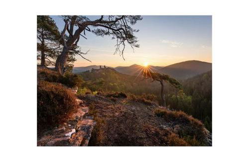 Holiday Apartment Glockenhorn - Foto 68