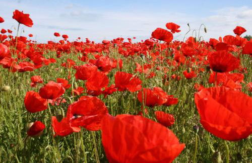 Ferienwohnung auf dem Land in Strandnähe - Foto 35
