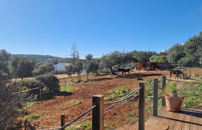 Tiny House Loulé Algarve no1 - Foto 19