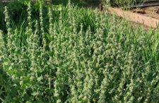 Ruralna kuća za odmor Pozojova hiža - Rural Holiday House - Foto 42