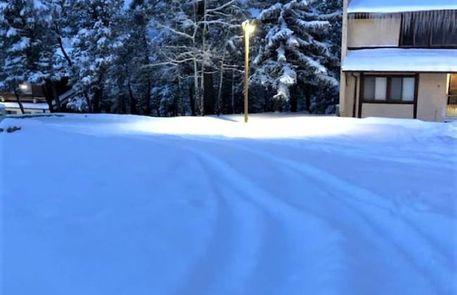 High Sierra Condominium - Foto 42