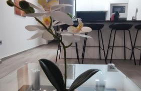 Apartamento Victoria home - Foto 1