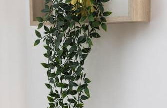 Chartres - Le Saint Pierre - Foto 15