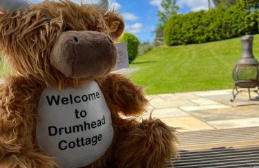 Drumhead Cottage Finzean, Banchory Aberdeenshire Self Catering with Hot Tub - Foto 37