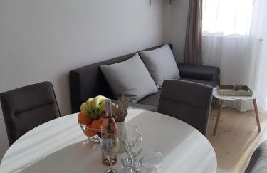 Sunshine Apartment Sovlje - Foto 26