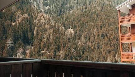 Appartement aux pieds des pistes - Foto 5