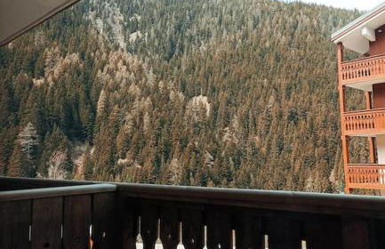 Appartement aux pieds des pistes - Foto 5