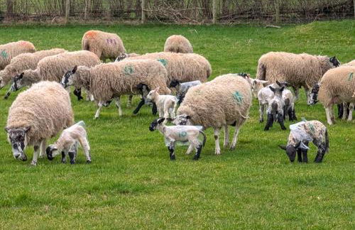 The Beeches - Foto 36