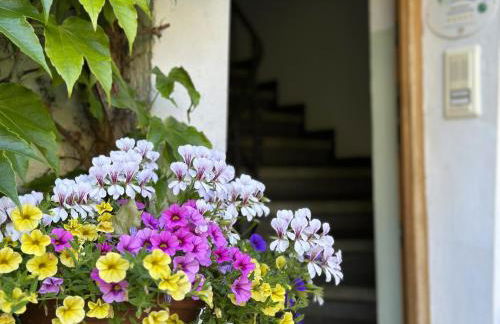 Im Zellertal - Foto 27