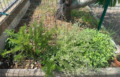 Villa Mirella - Foto 22