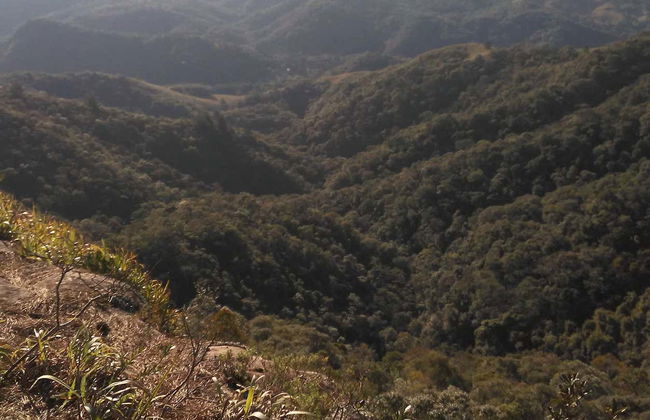Trilha pelo Pico Araçatuba em Tijucas do Sul ou Cânion da Faxina - Foto 7