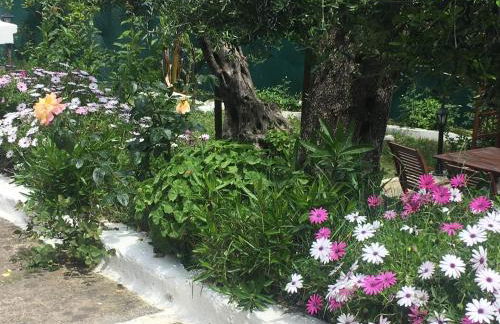 Villa Stephanie - Foto 32