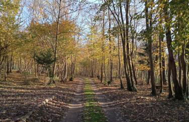 Gîte l'Olivianne - Foto 37