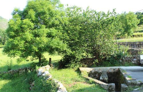 Apartamentos San Antonio de Garabandal - Foto 32