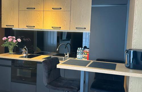 Business Apartment Płock - Foto 11