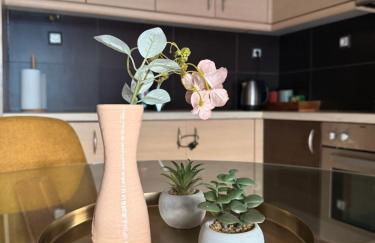 ArtemisAth - Foto 21