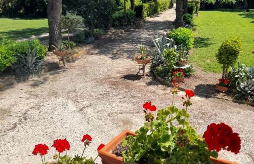 CASAL DE' PINI RELAIS TENNIS E PISCINA - Foto 6