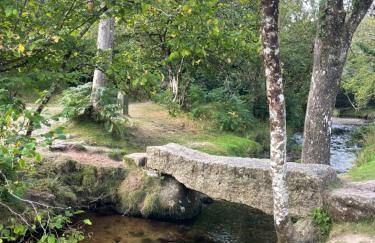 Dartmoor Cottage - Foto 14