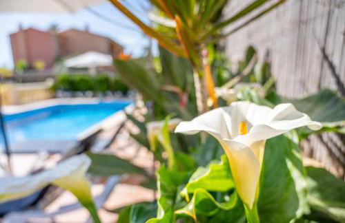 Villa Manrique - Foto 29