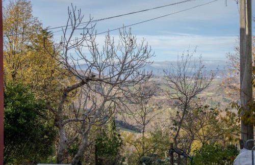 Il Capriccio del Papa - Foto 122